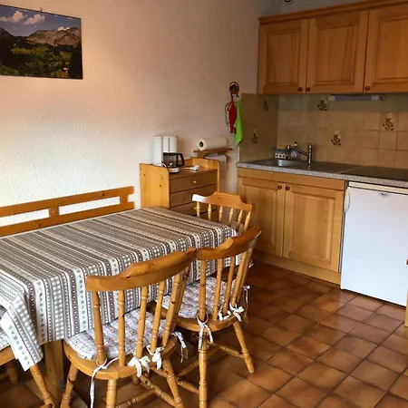 Confortable 4 Personnes, Balcon, Châtel, Animaux Admis - Fr-1-676-188